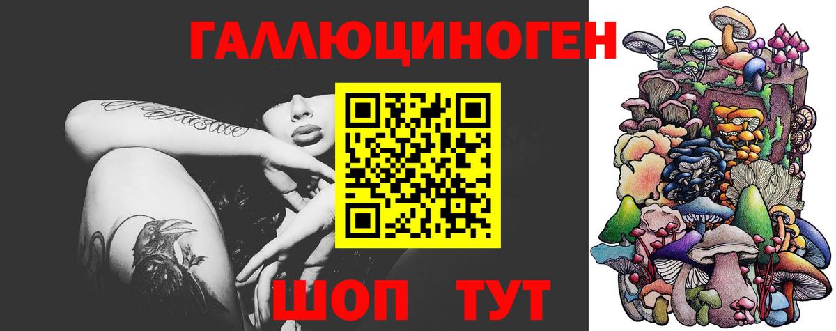 где продают   Псилоцибиновые грибы Cubensis  Вход с VPN  Уфа 