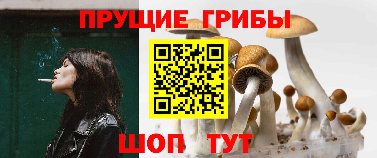 Галлюциногенные грибы Magic Shrooms Уфа